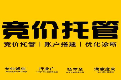 百度竞价排名服务的广告投放技巧与策略